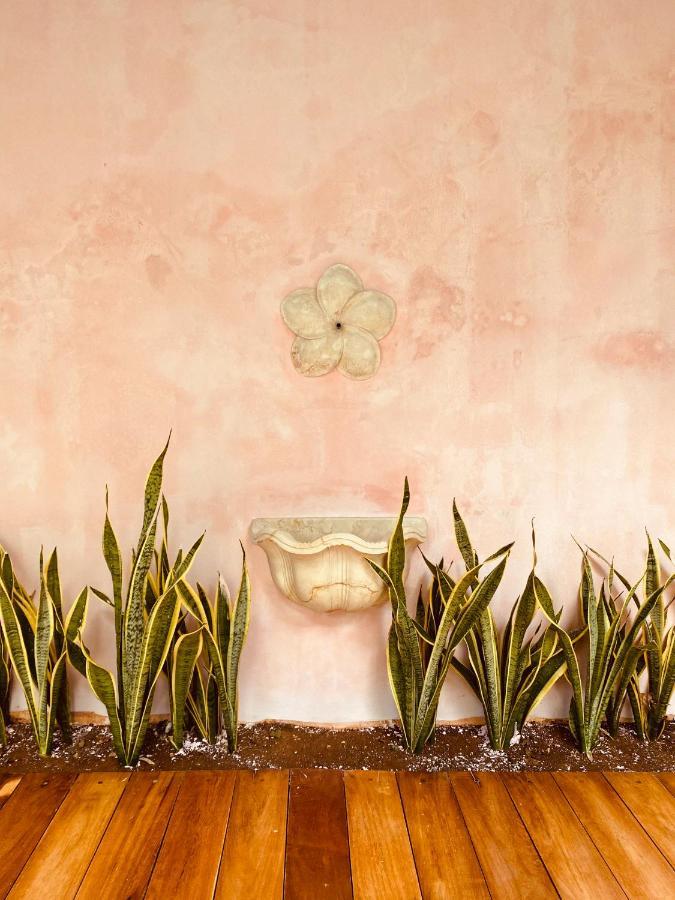 Casa Nicte, Hospedate En Una Casa Del Siglo XVIII Campeche Luaran gambar